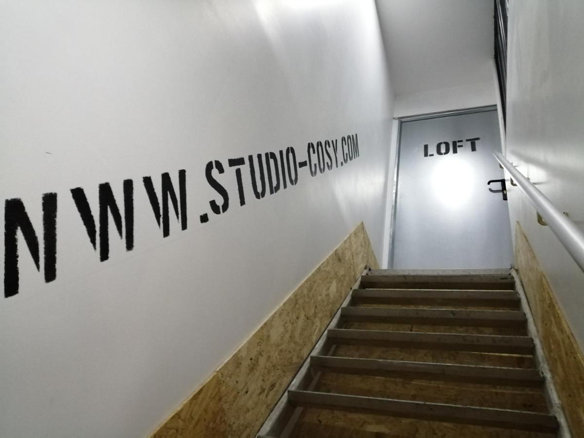 Deux Studios Centre Village Loft Ou Cosy Studio-Cosy Brouckerque Exteriör bild